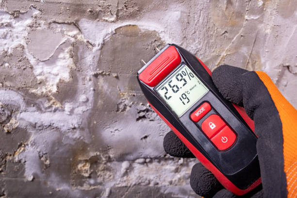 Trusted Hardin, MT Mold Removal Experts