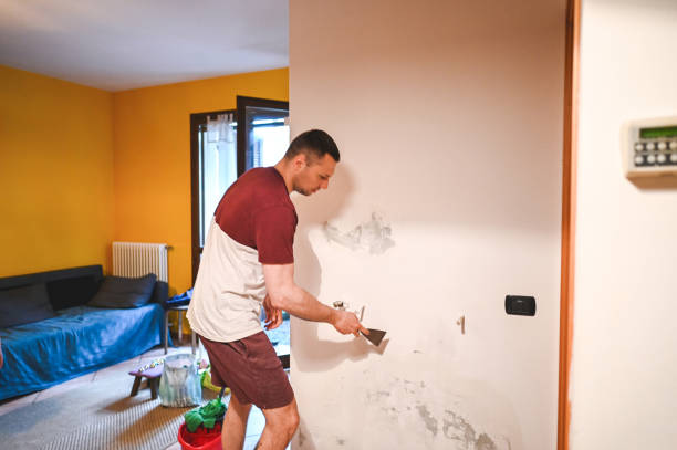Best Professional Mold Removal  in Hardin, MT