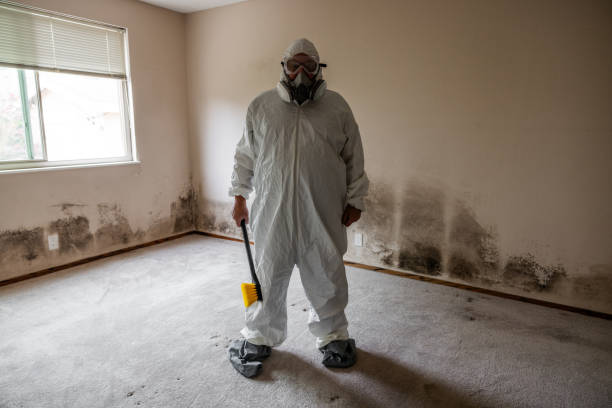 Certified Mold Removal in Hardin, MT
